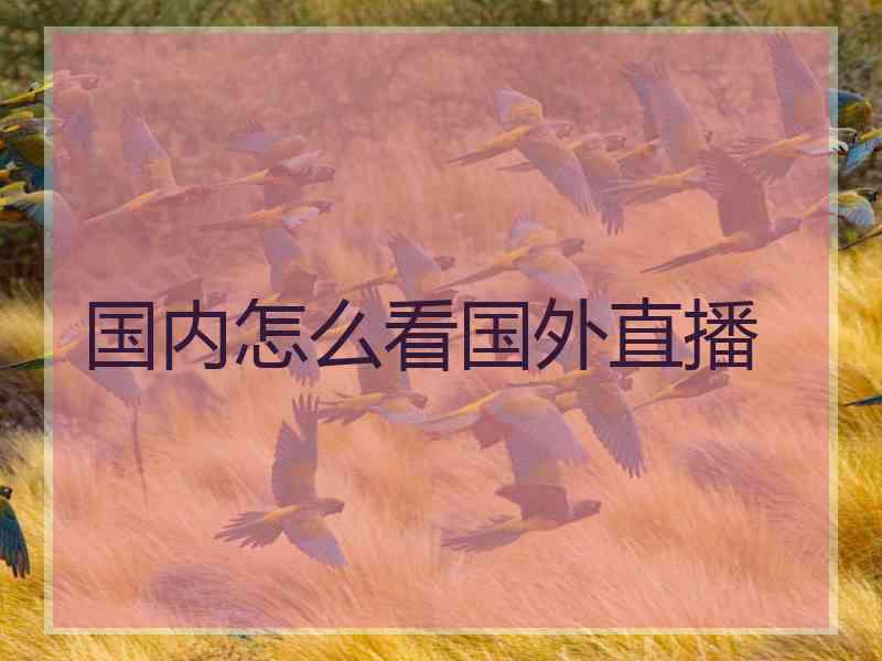 国内怎么看国外直播