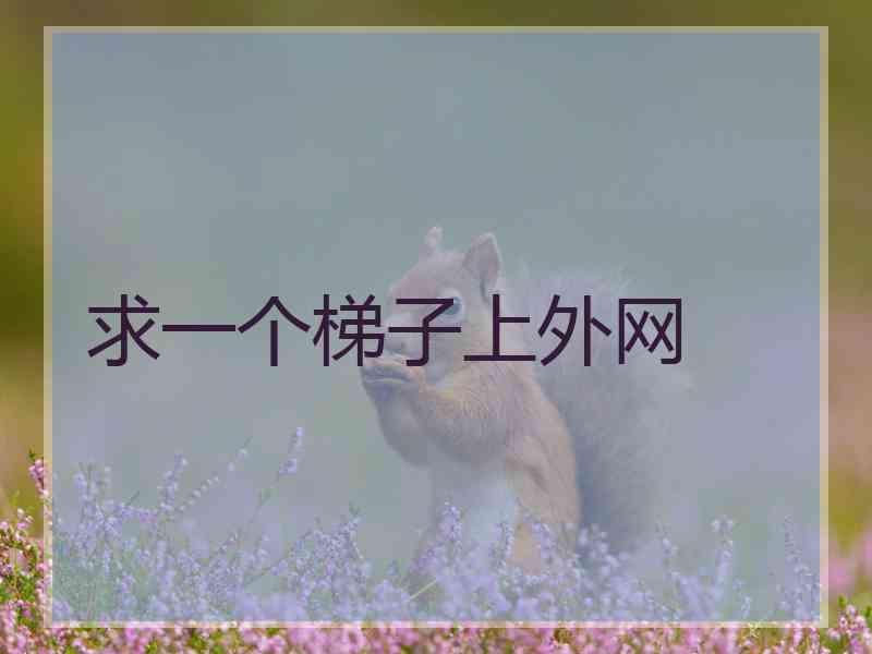 求一个梯子上外网