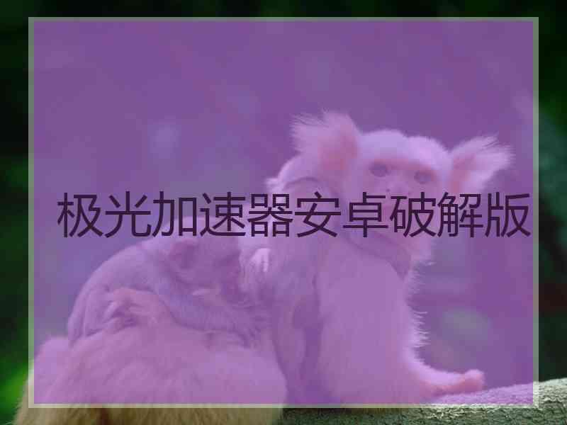 极光加速器安卓破解版