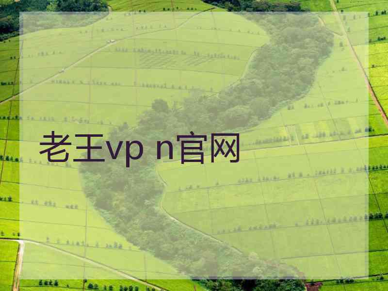 老王vp n官网
