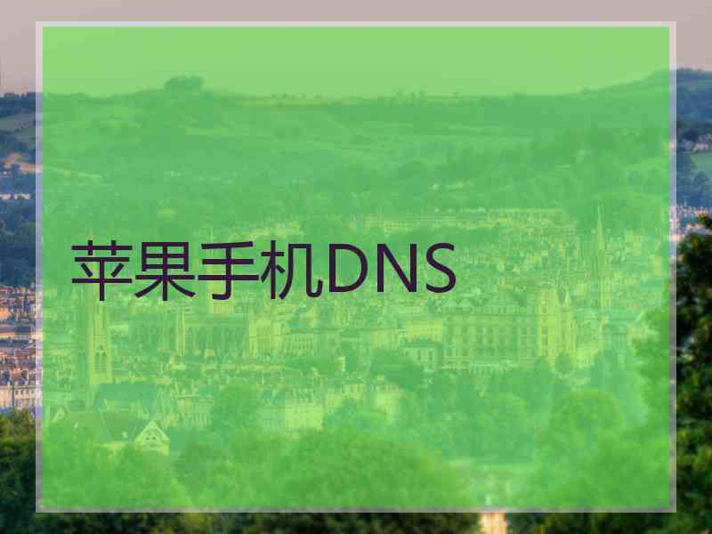 苹果手机DNS