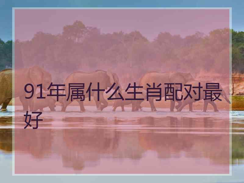 91年属什么生肖配对最好