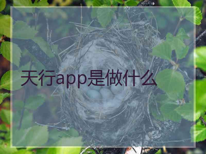 天行app是做什么