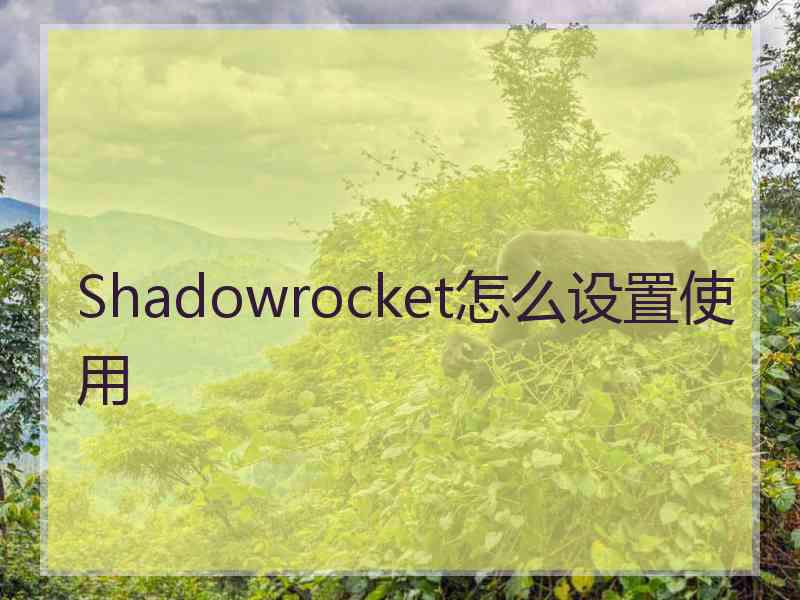 Shadowrocket怎么设置使用