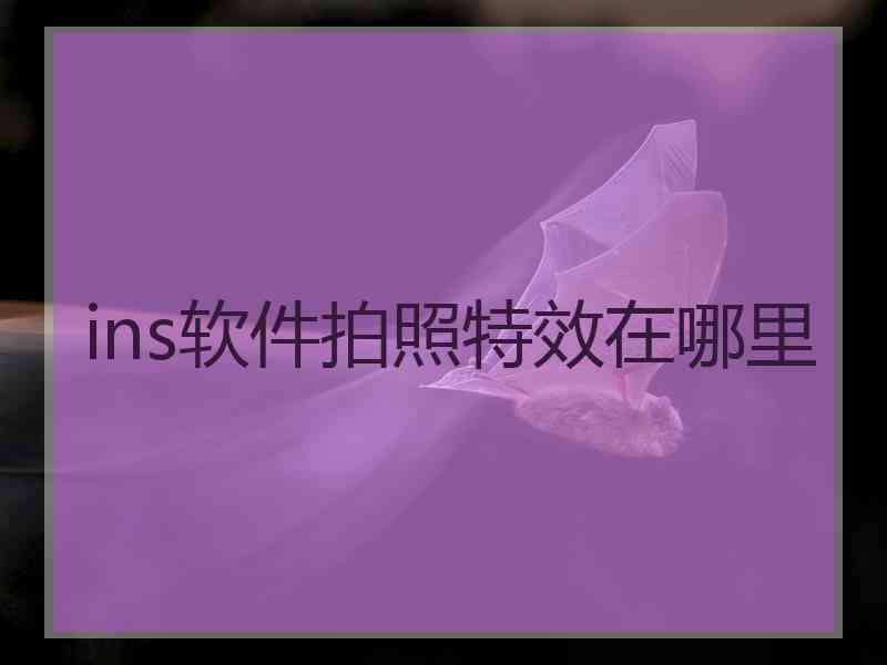 ins软件拍照特效在哪里