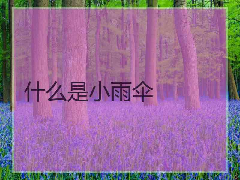 什么是小雨伞