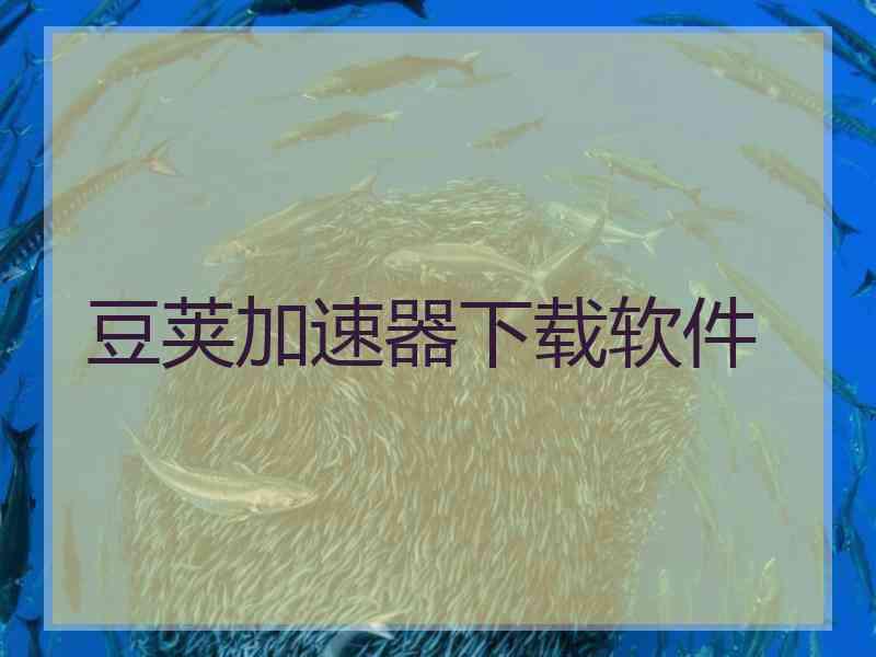 豆荚加速器下载软件