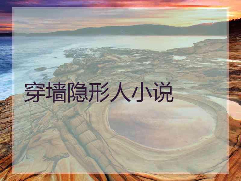 穿墙隐形人小说