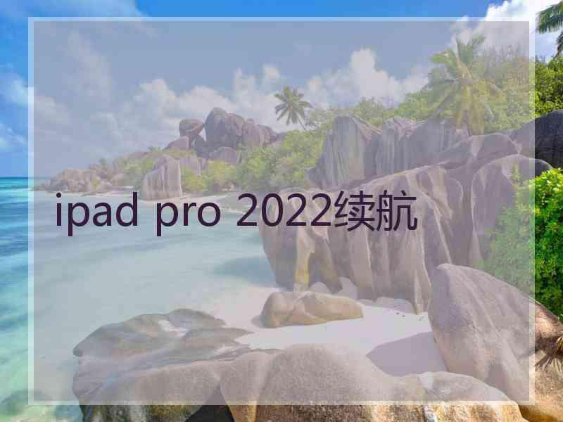 ipad pro 2022续航