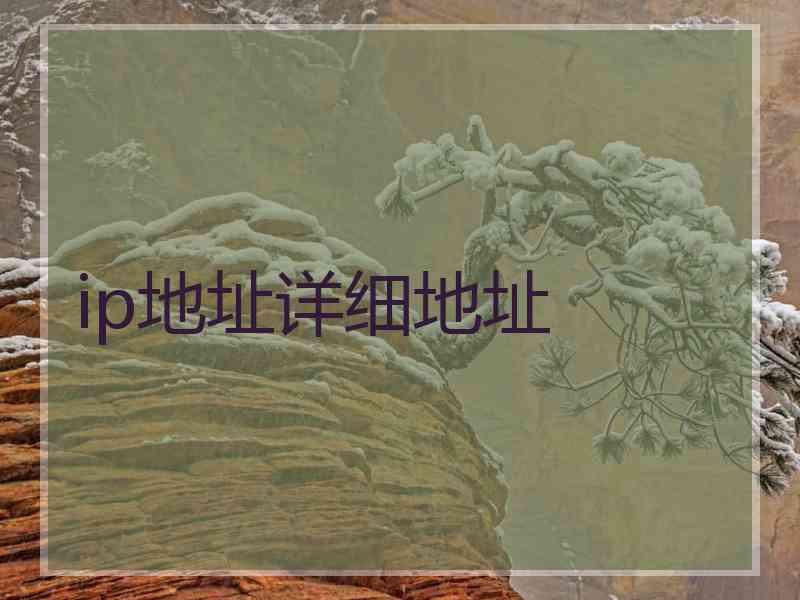 ip地址详细地址