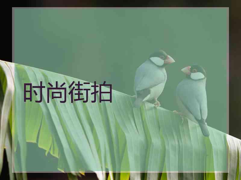 时尚街拍