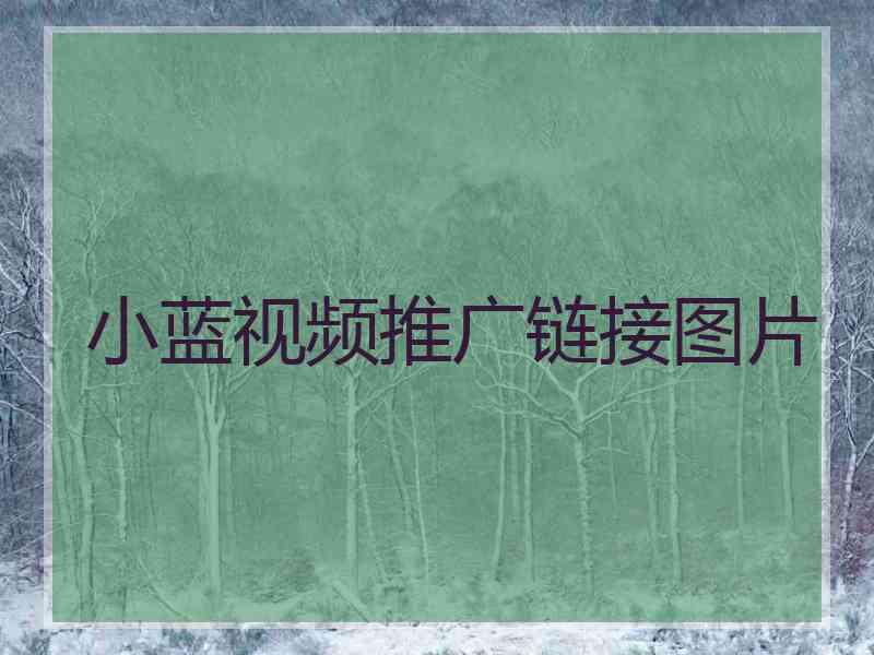 小蓝视频推广链接图片