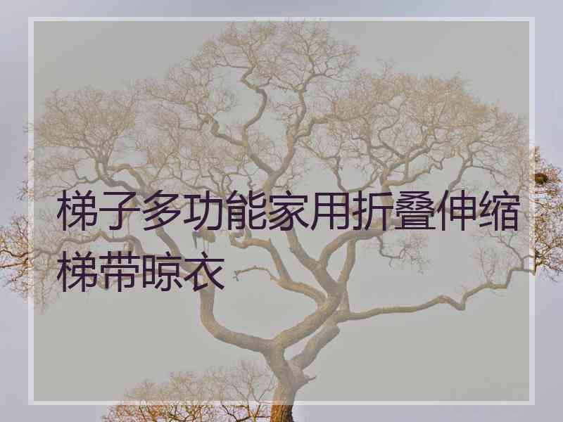 梯子多功能家用折叠伸缩梯带晾衣