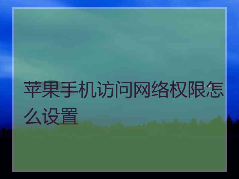 苹果手机访问网络权限怎么设置