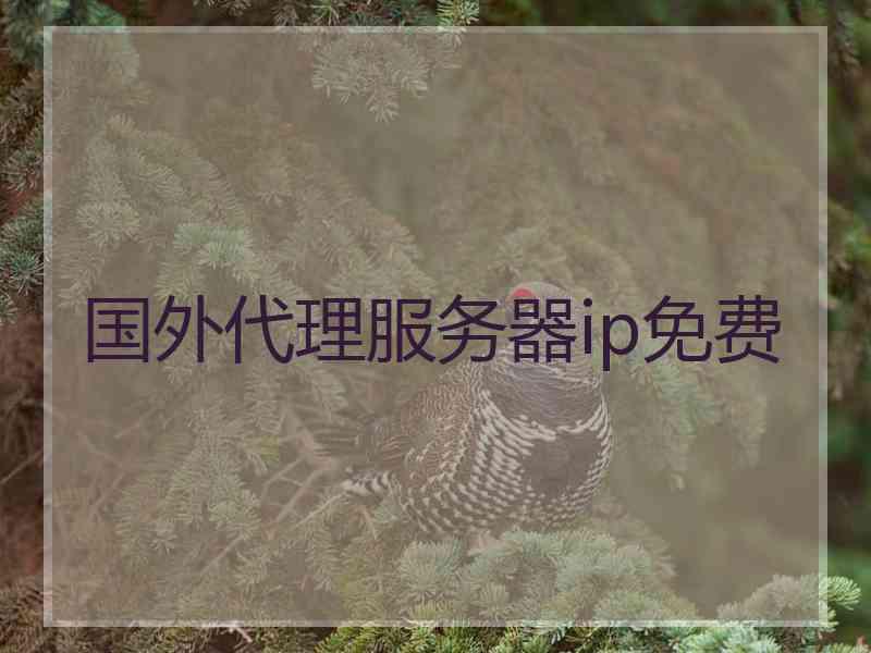 国外代理服务器ip免费