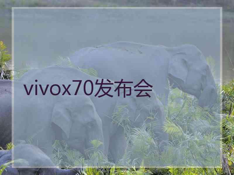 vivox70发布会