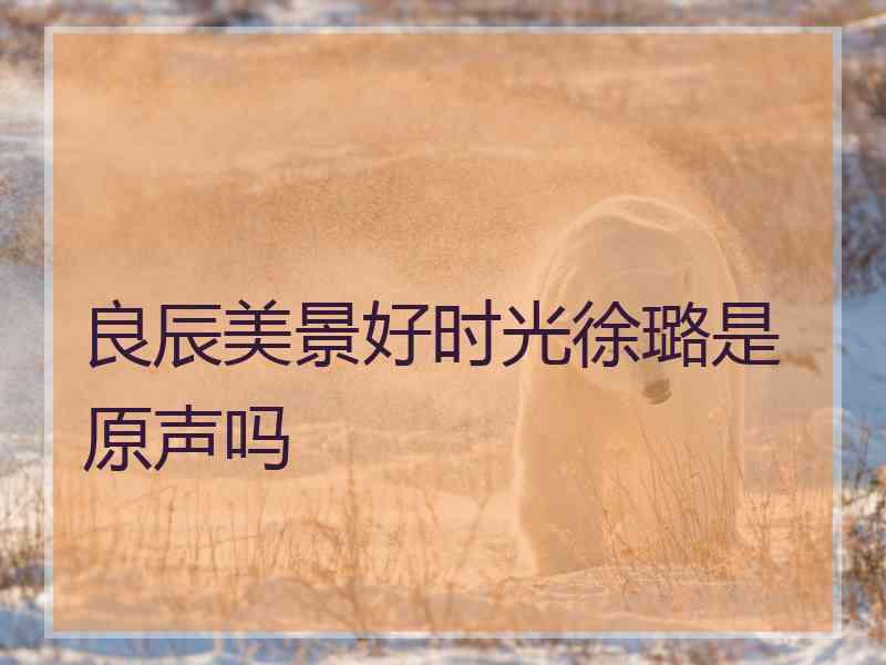 良辰美景好时光徐璐是原声吗