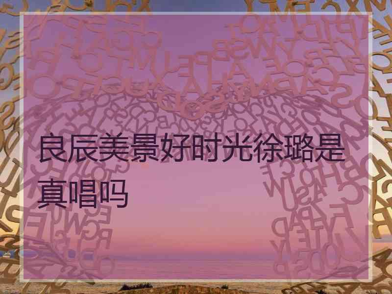 良辰美景好时光徐璐是真唱吗