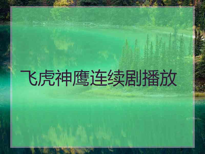 飞虎神鹰连续剧播放