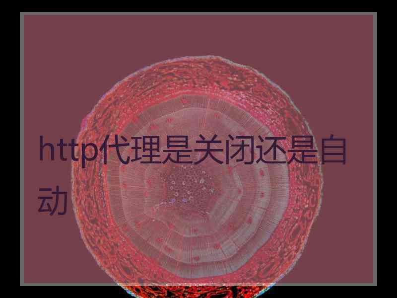 http代理是关闭还是自动