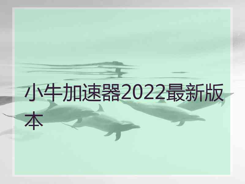 小牛加速器2022最新版本