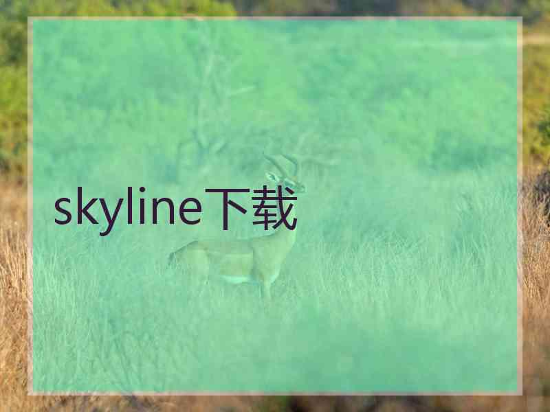 skyline下载