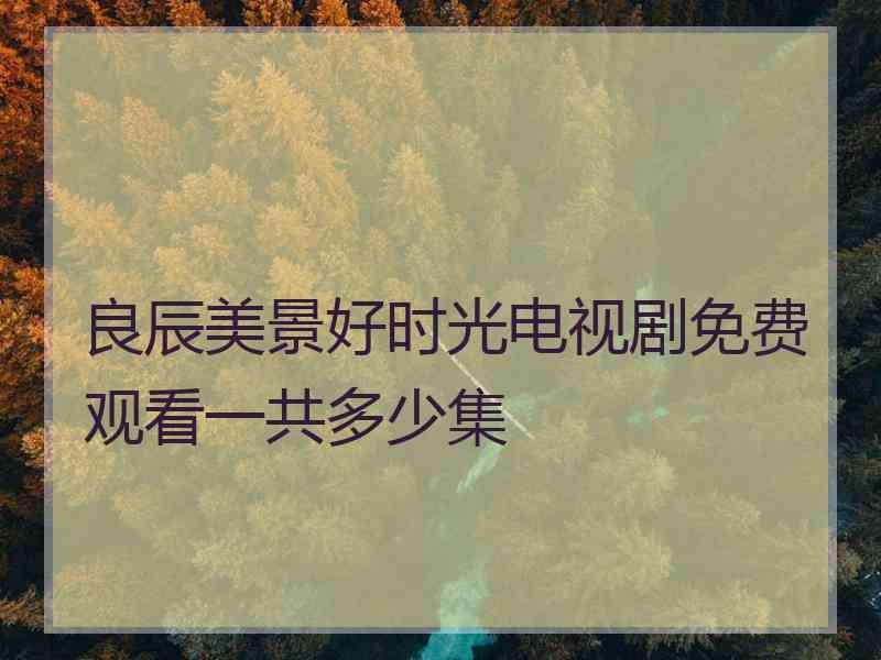 良辰美景好时光电视剧免费观看一共多少集