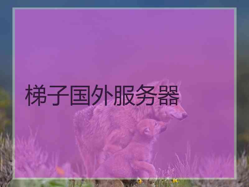 梯子国外服务器
