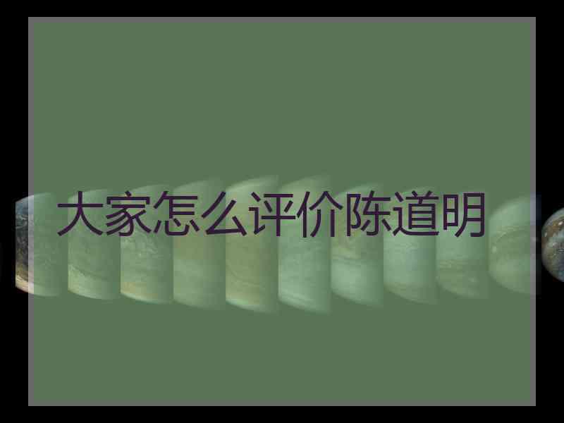 大家怎么评价陈道明