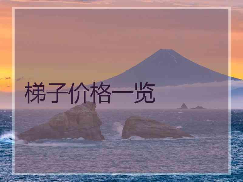 梯子价格一览