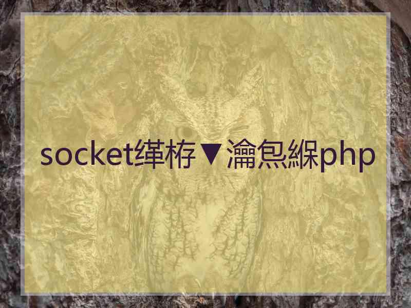 socket缂栫▼瀹炰緥php