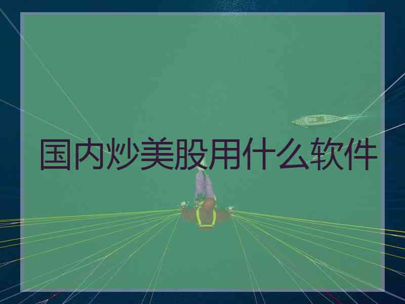 国内炒美股用什么软件