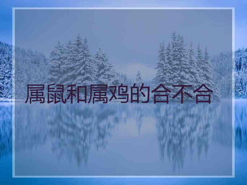 属鼠和属鸡的合不合