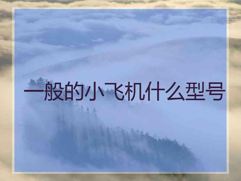 一般的小飞机什么型号