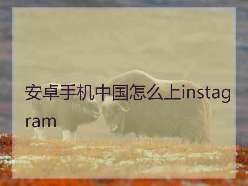 安卓手机中国怎么上instagram