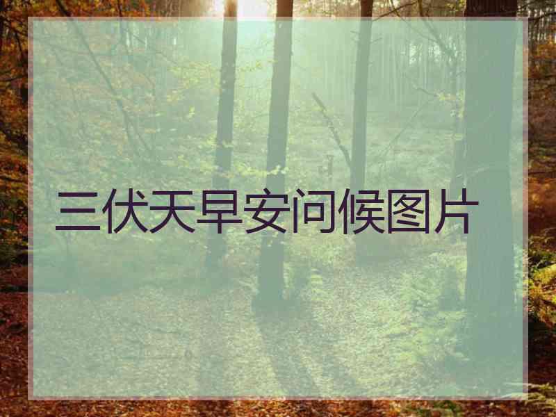 三伏天早安问候图片