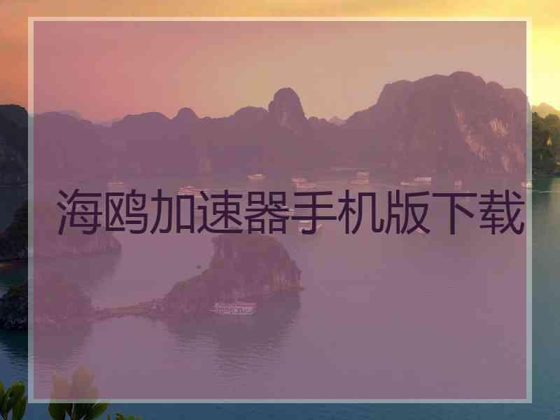 海鸥加速器手机版下载