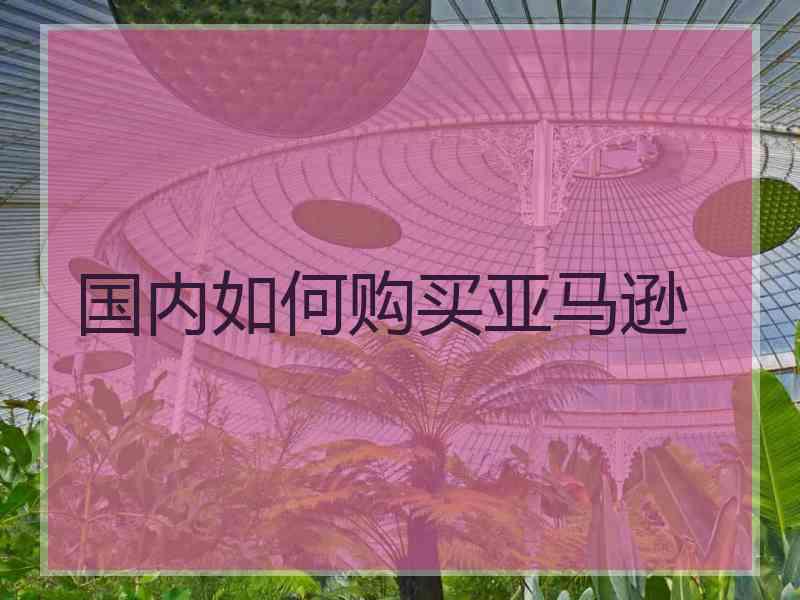 国内如何购买亚马逊