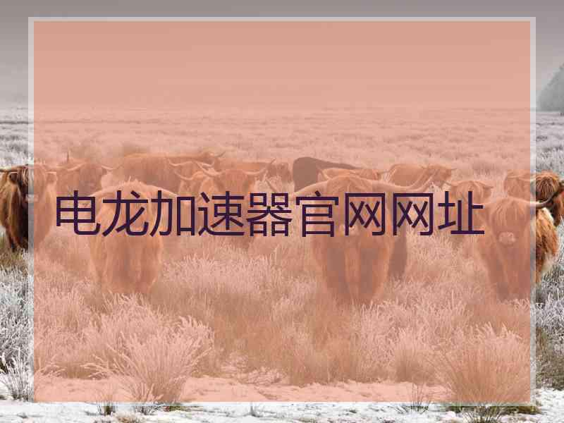 电龙加速器官网网址
