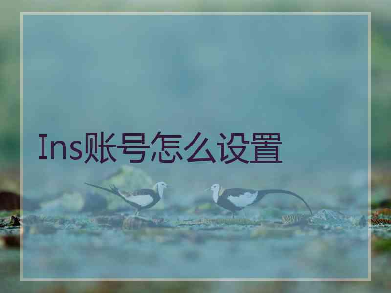 Ins账号怎么设置
