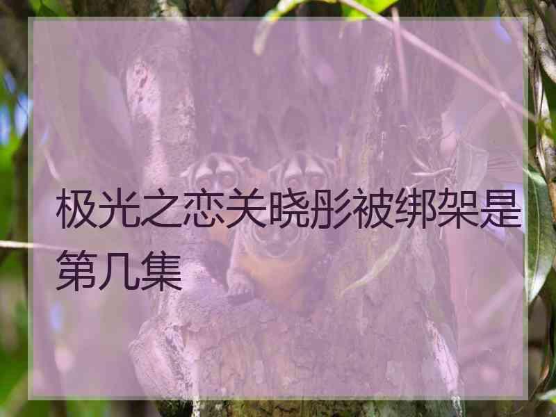 极光之恋关晓彤被绑架是第几集