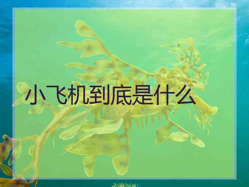 小飞机到底是什么