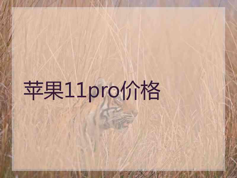 苹果11pro价格