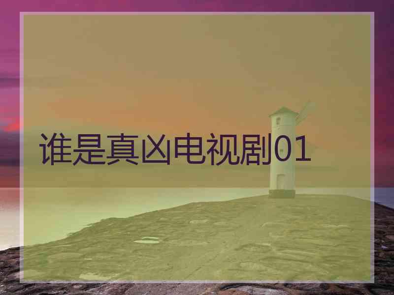谁是真凶电视剧01