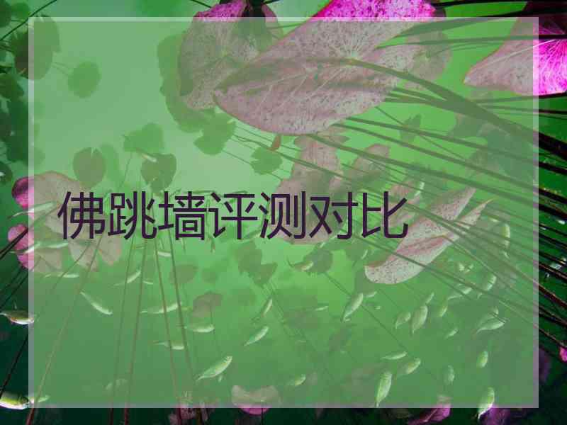 佛跳墙评测对比