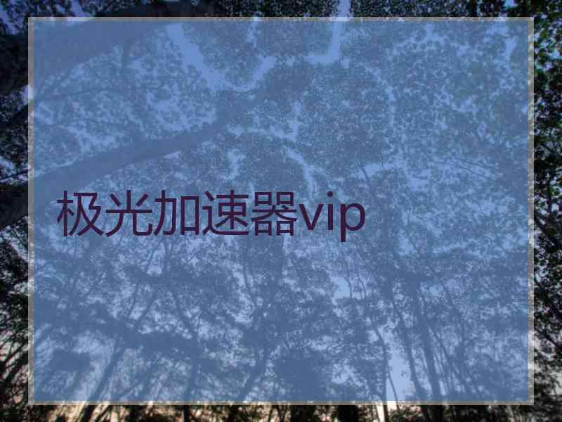 极光加速器vip