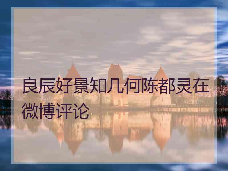良辰好景知几何陈都灵在微博评论
