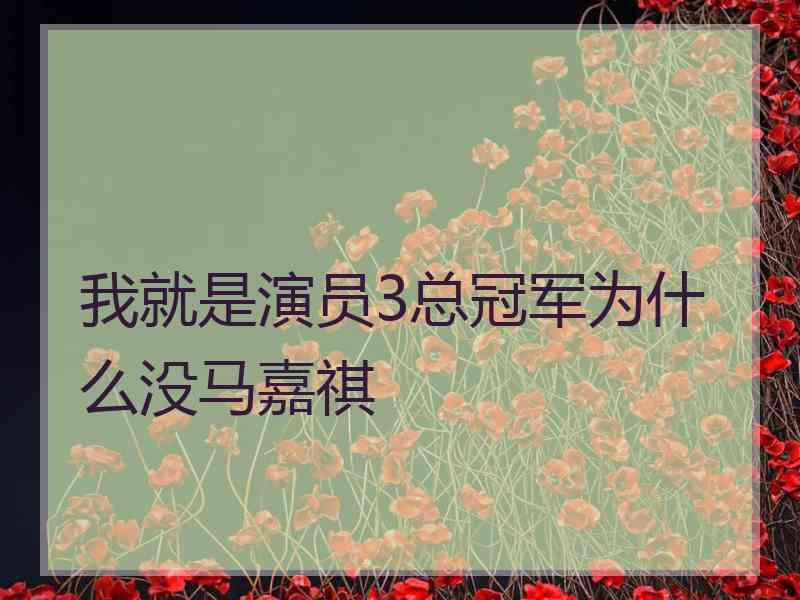 我就是演员3总冠军为什么没马嘉祺