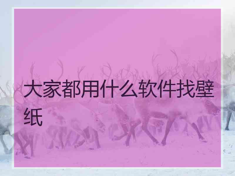 大家都用什么软件找壁纸