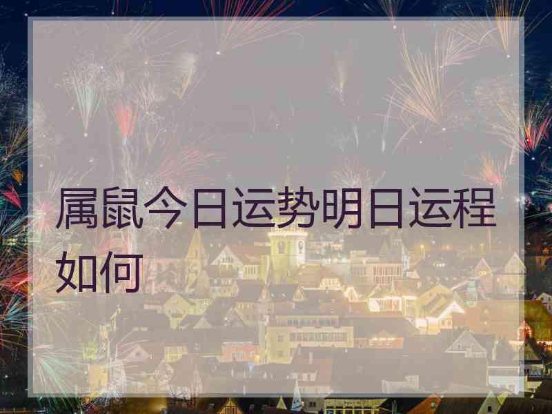 属鼠今日运势明日运程如何